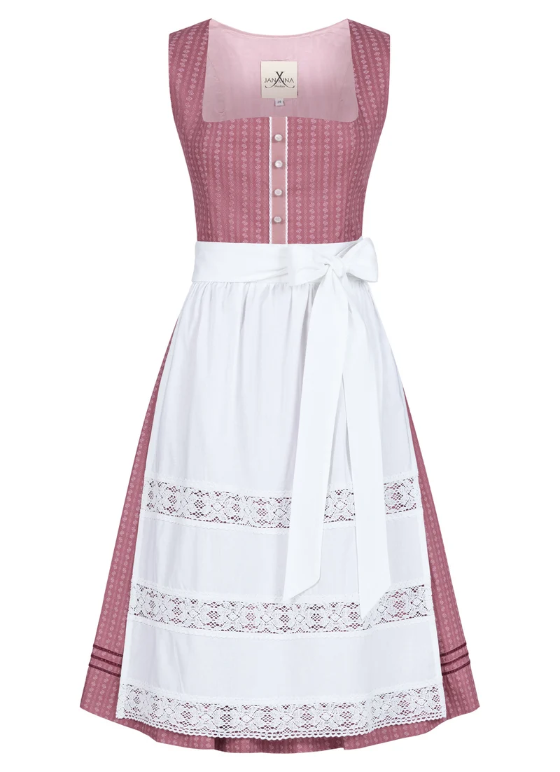BW DIRNDL VINTAGE STRIPED FLOWER ROSENHOLZ