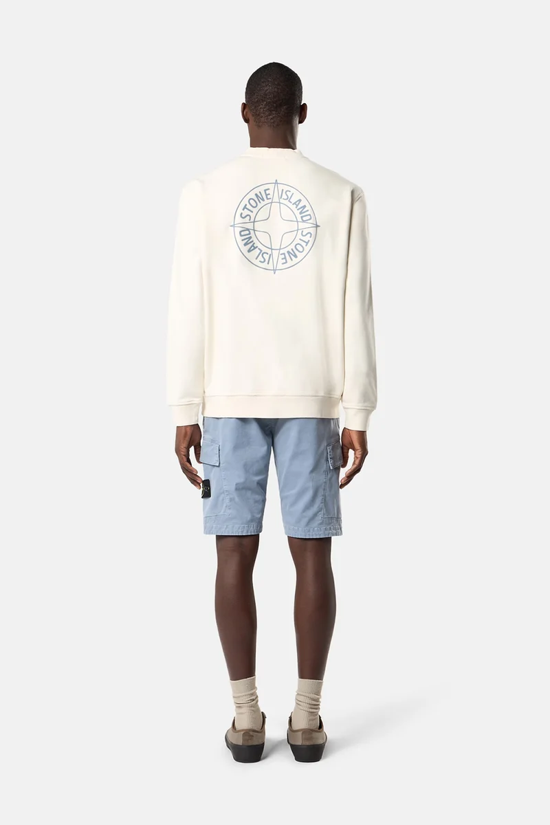 Stone Island Herren Sweatshirt mit Print Elfenbeinweiss