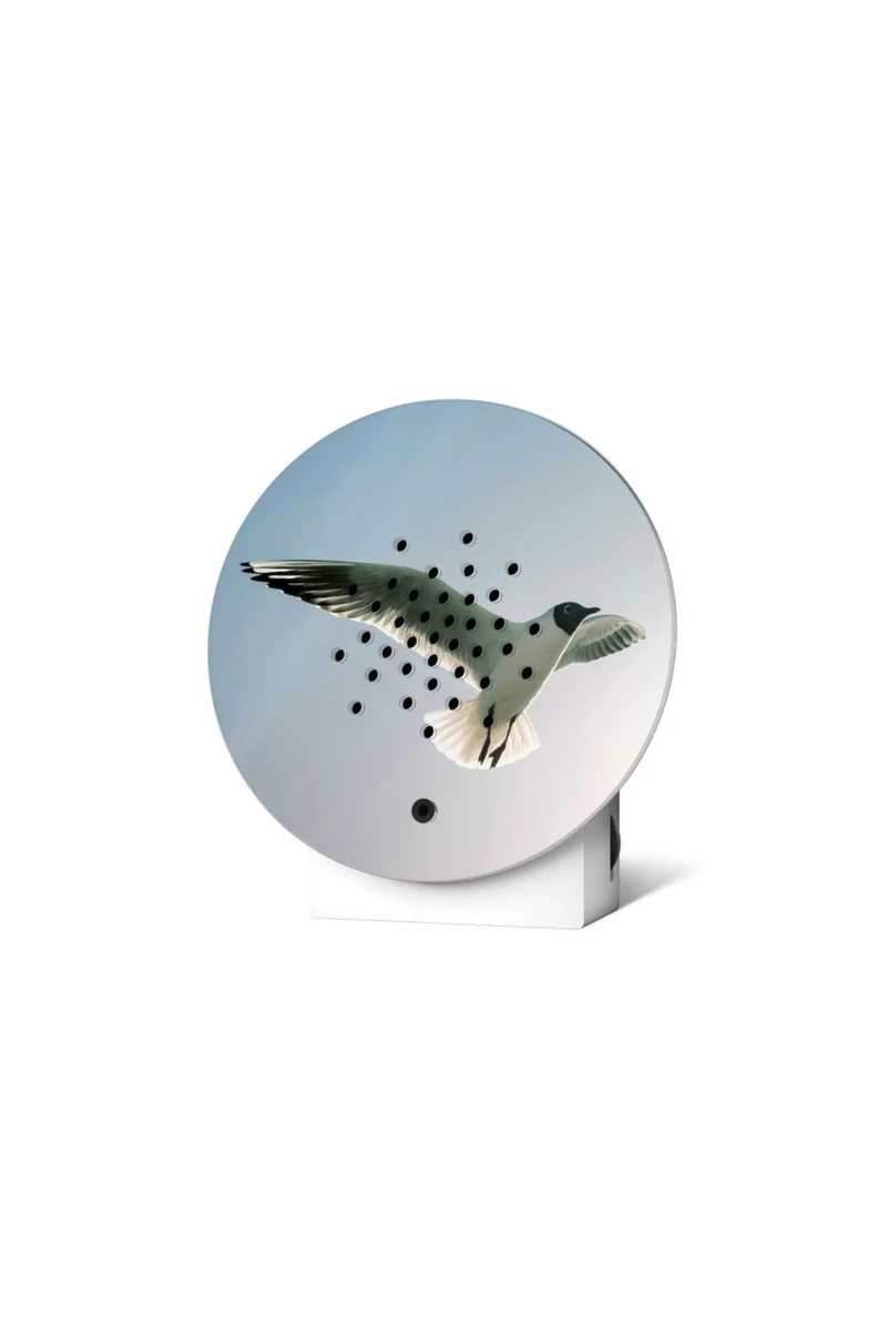 Oceanbox Limited Edition - 11OBX0301016 - Spring 25 - BLACK HEADED GULL - Relaxound
