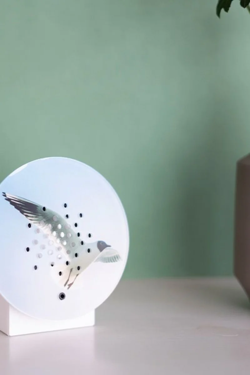 Oceanbox Limited Edition - 11OBX0301016 - Spring 25 - BLACK HEADED GULL - Relaxound